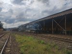 RUMO 603